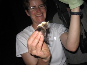 Bat Expert Fiona Reid