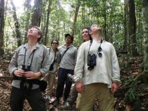 Bellbird and Potoo Find at Asa Wright