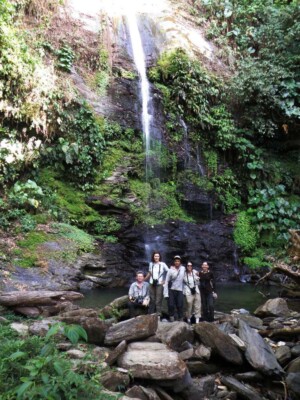 Brasso Saeco Waterfall