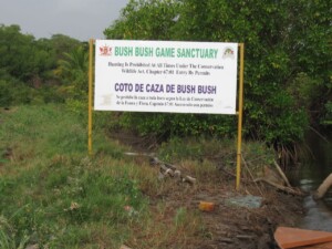 Bush Bush Sanctuary