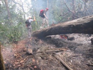 Bush Fires