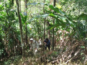 Hiking Back from Oilbirds