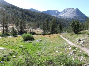 Hiking Down Pinchot Pass