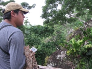 Jose Antonio, Calling Canopy Birds