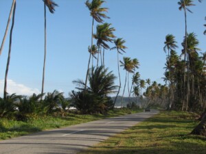 Manzanilla Beach Road
