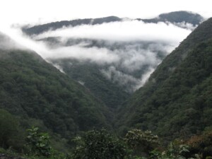 Peru Cloudforest