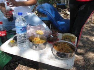 Picnic Food