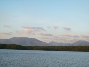 Scarlet Ibis & Our Valley