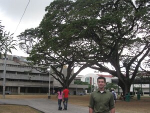 UWI and Saman Tree
