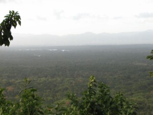 View from Tamana Hill